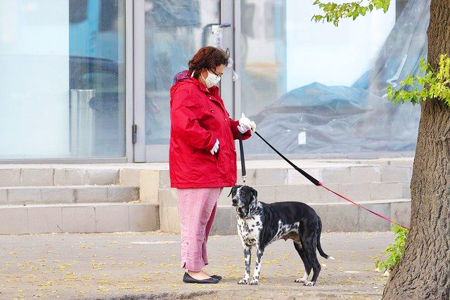 How City Lockdowns Are Stressing Out Dogs And Owners Everywhere!