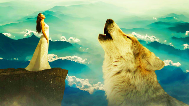 Why Does My Dog Love Me More Than Anything Else?