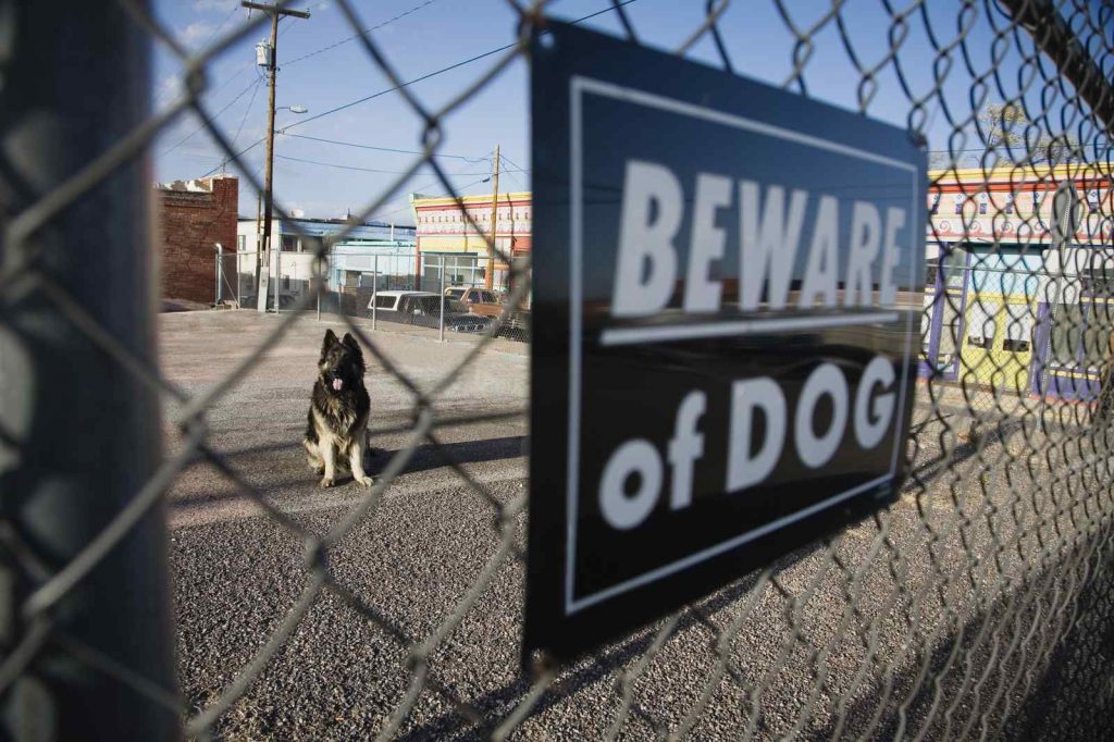 dog behind beware of dog sign