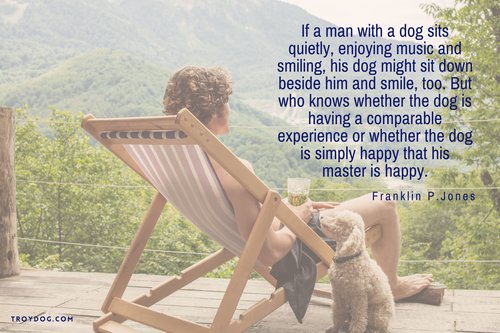 man-sitting-looking-at-the-view-while-dog-seems-to-be-smiling-and-looking-at-its-owner