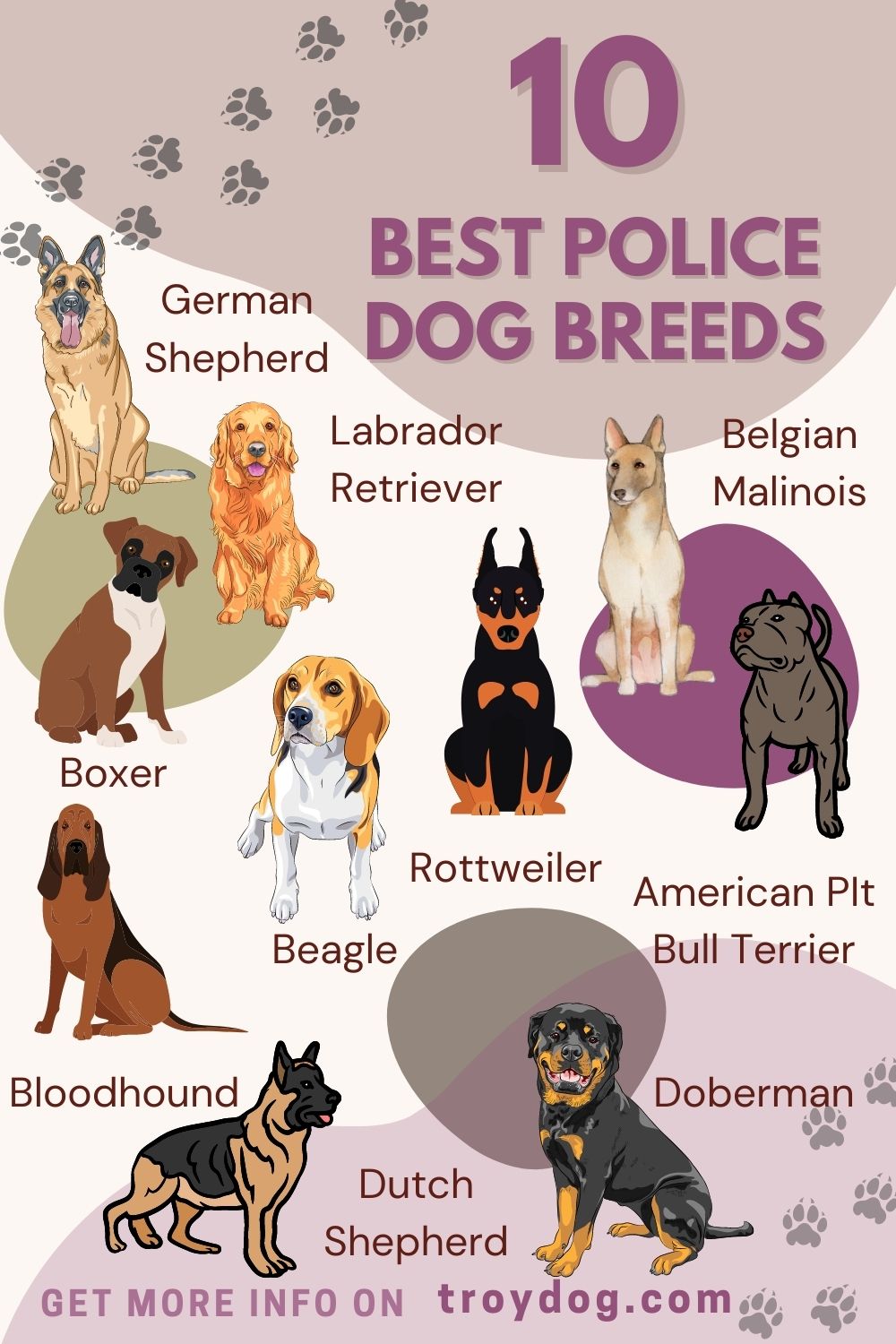 10 Best Police Dog Breeds Troydog Home Of Happy Dogs 10 Best Police Dog Breeds Troydog Home Of Happy Dogs